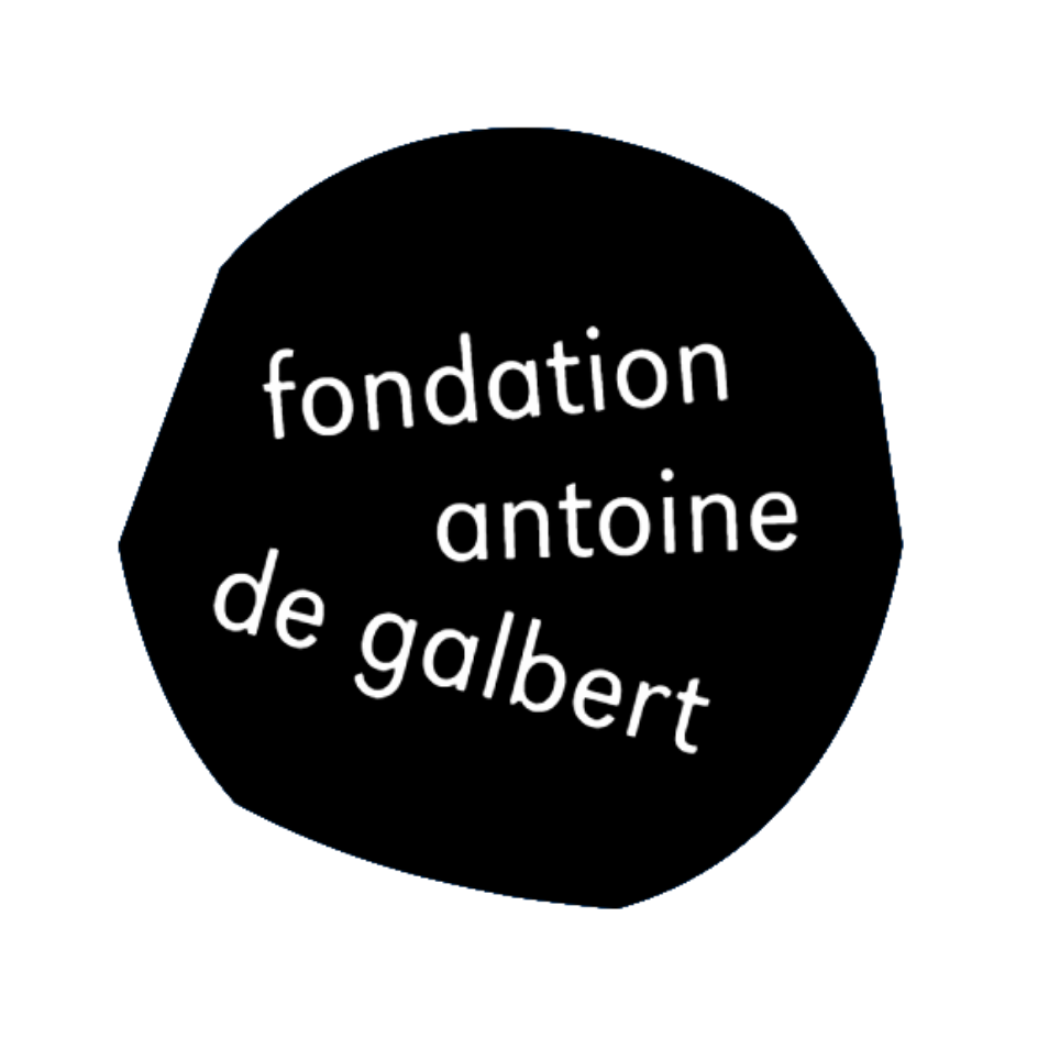 Logo Fondation Antoine  de Galbert