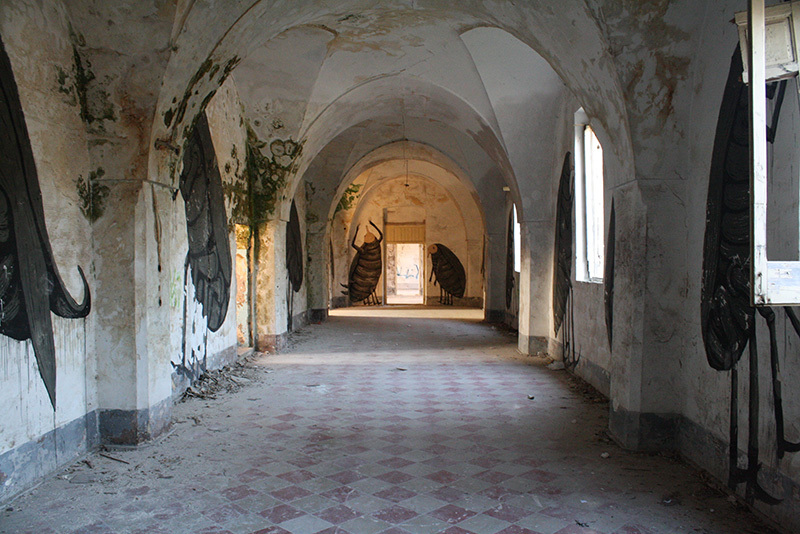 Ericailcane, peintures murales dans un couvent abandonné, Grottaglie