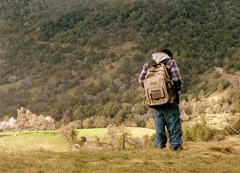 Un homme de dos sur un champs c'est l'extrait du filme Pine Flat de Sharon Lockhart
